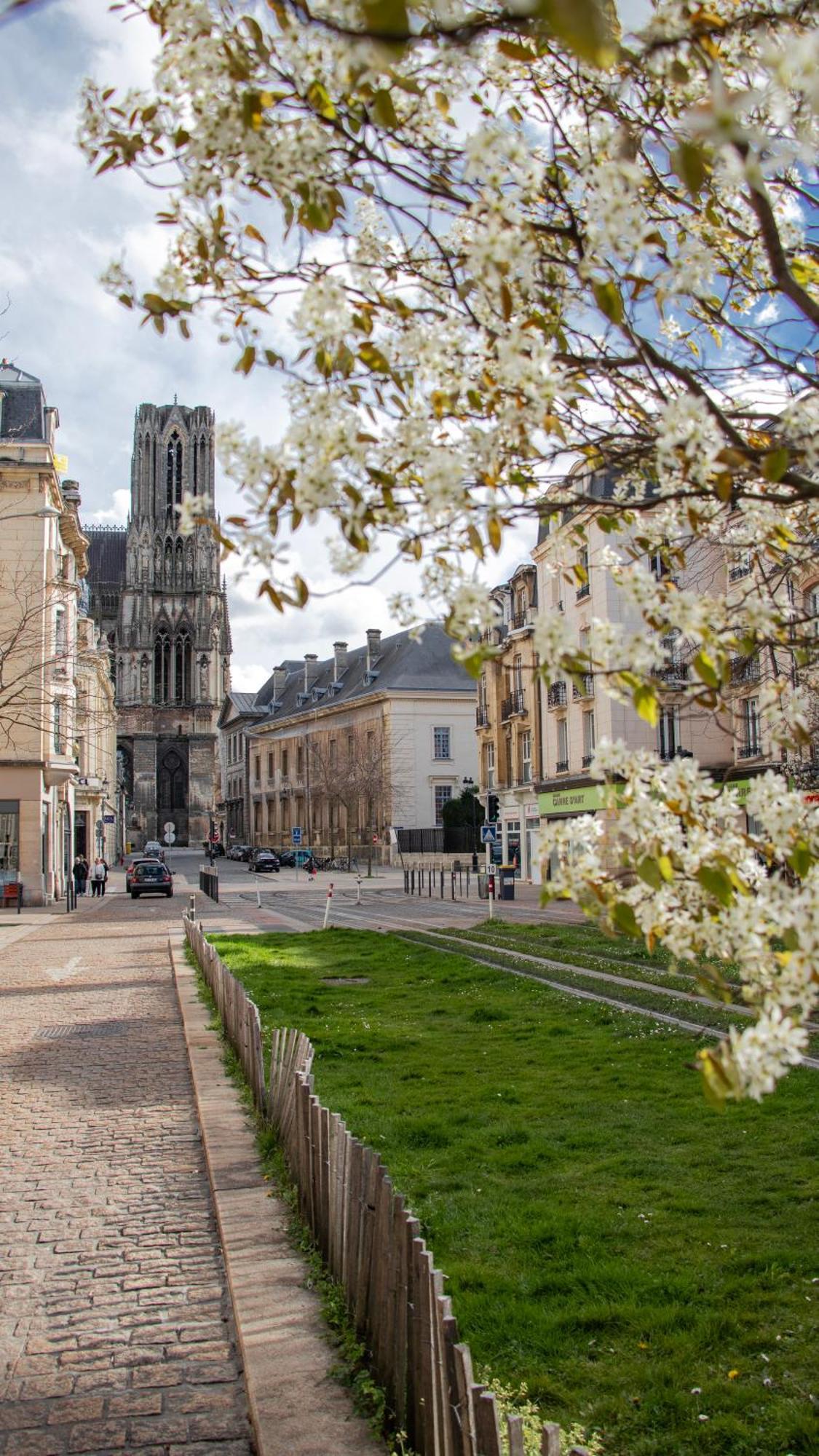 Rare! Magnifique Appartement - Vue Cathedrale Reims Exterior foto